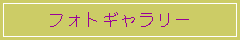 tHgM[